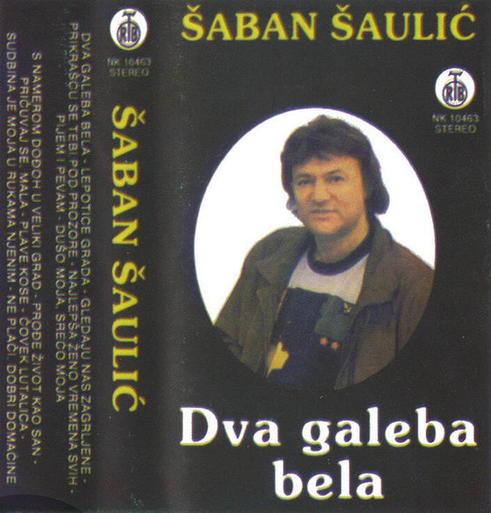 Saban Saulic 1991 - Dva galeba bela - omot